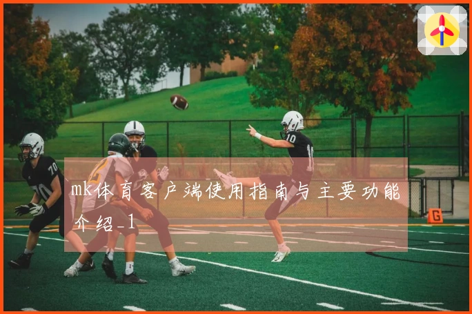 mk体育客户端使用指南与主要功能介绍_1