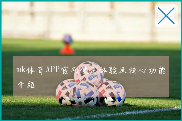 mk体育APP官网使用体验及核心功能介绍