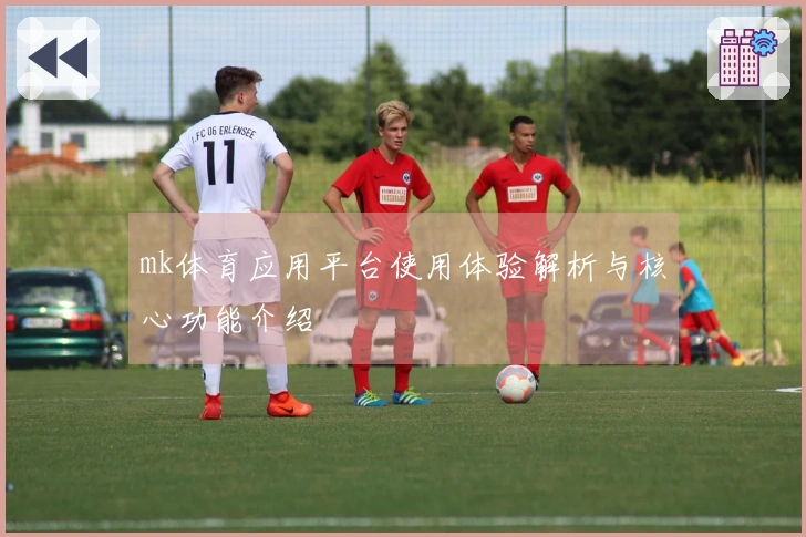 mk体育应用平台使用体验解析与核心功能介绍