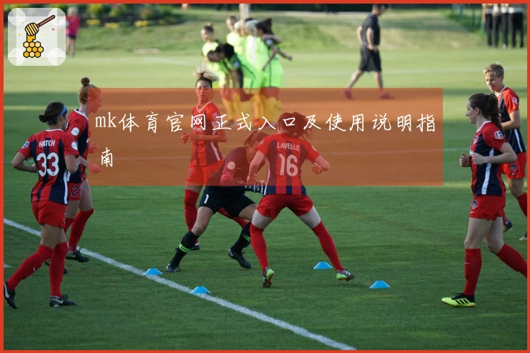 mk体育官网正式入口及使用说明指南